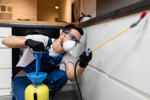 Best Pest Removal Services  in Moline, IL