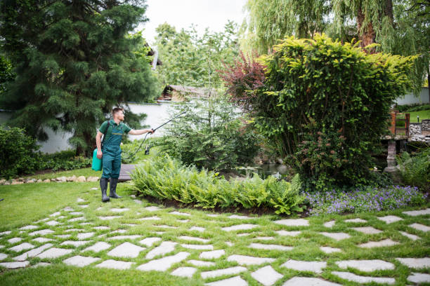 Pest Control Cost in Moline, IL