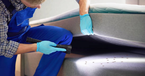 Best Pest Control Near Me  in Moline, IL