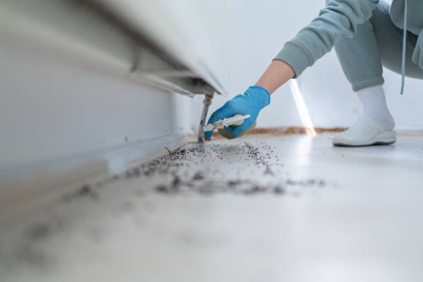 Best Wildlife Control Services  in Moline, IL